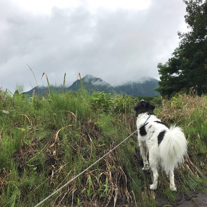 8b1eb7b0 4483 4033 be29 4a2a637f7756