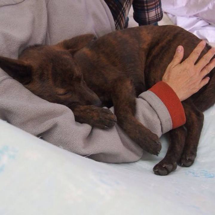 8b1f2774 4d91 4277 a733 c81e12c5cca8