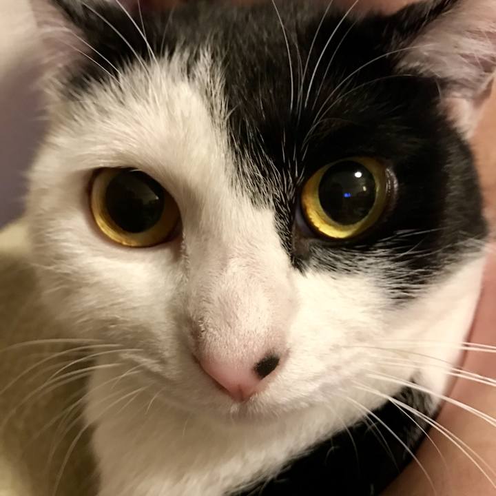 8b1f6b7e 15fc 4e9b 948e c7e7dca982ac