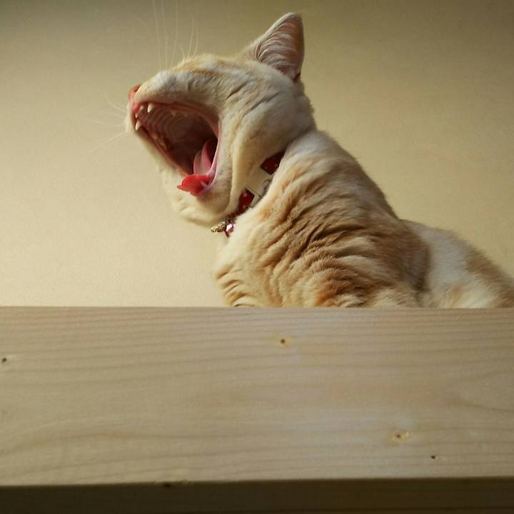 8b215ccb fdc4 4852 8d7a c4c0e6e64f3e