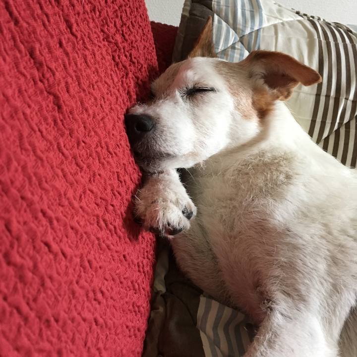 8b2222d3 10d2 444d 8e8f a718be4d223e