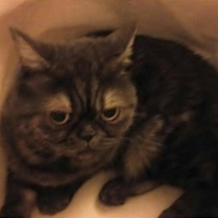 8b222a3c 7a06 4955 9534 a3516a15e709