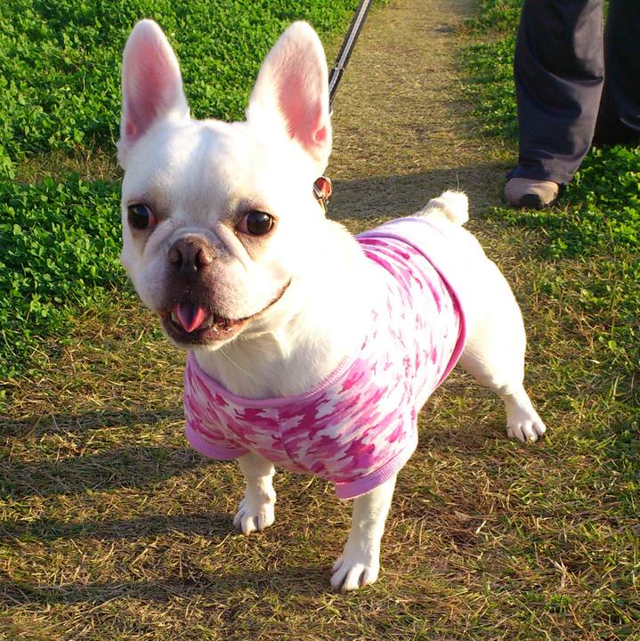 8b2311db 58f7 43b1 8c34 6cc60a2c6d01