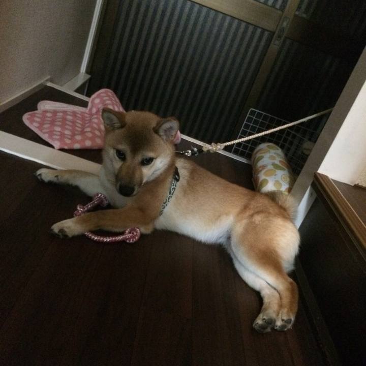 8b235ce8 31c0 4045 906d e5f1ba45dc5f