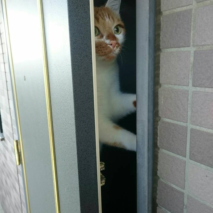 8b238688 65c7 4d42 ae9d b6d526325aae