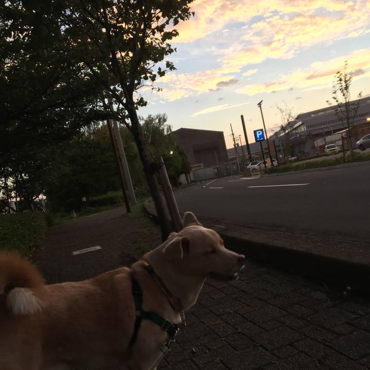 8b23f761 f72d 4c71 ad16 17ec48e817ad