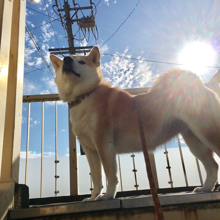 8b2413d1 c888 4b0f 9736 039faf827181