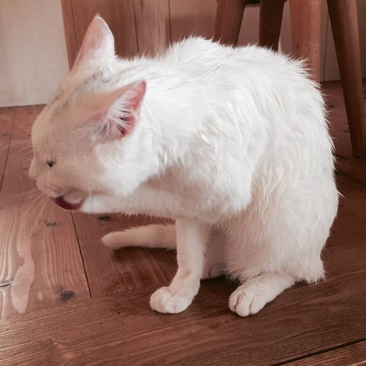 8b24368f 19a8 462e a2cd d18699cbcaa8