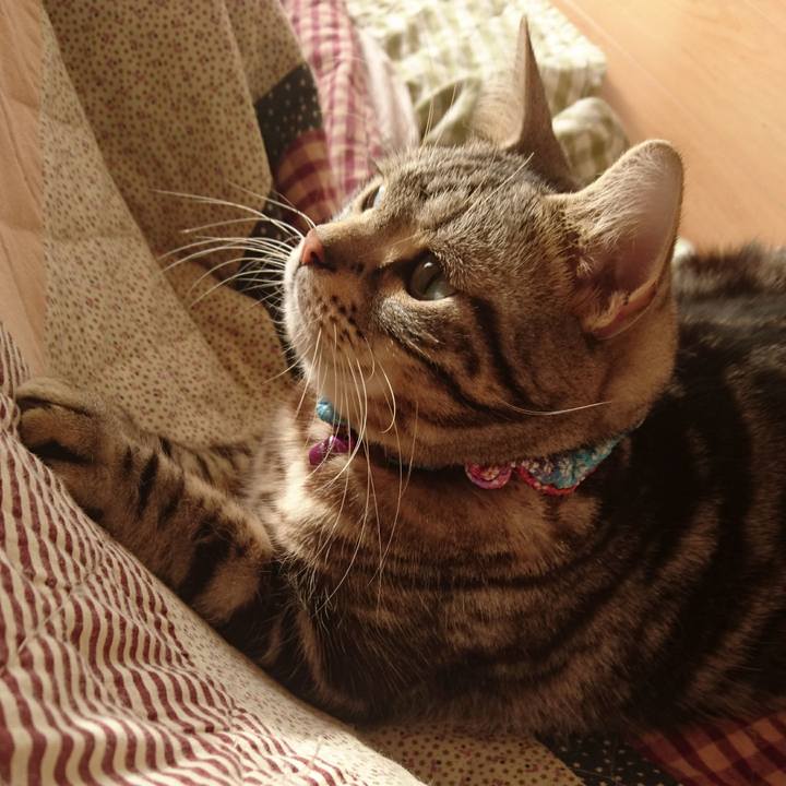 8b248435 c9a9 4e99 b984 92d9b86b511e