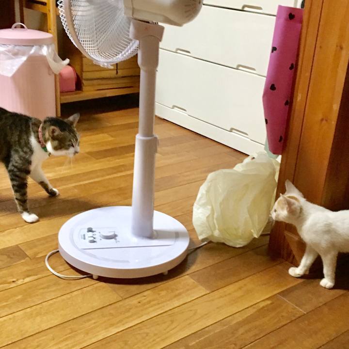 8b249402 c8c7 4006 aec6 0586f6fd1b5b