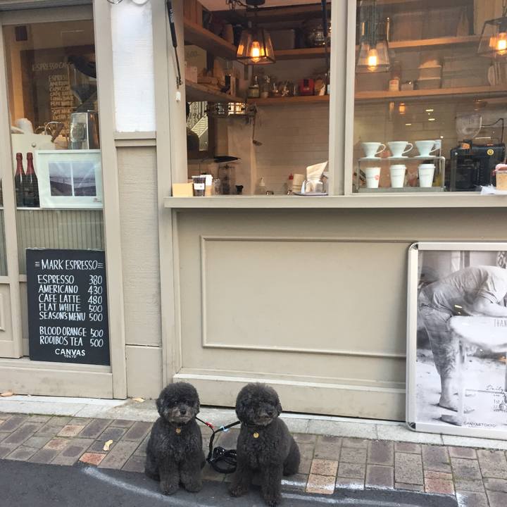 8b251090 89fc 4b84 80b0 8727cfb6147d