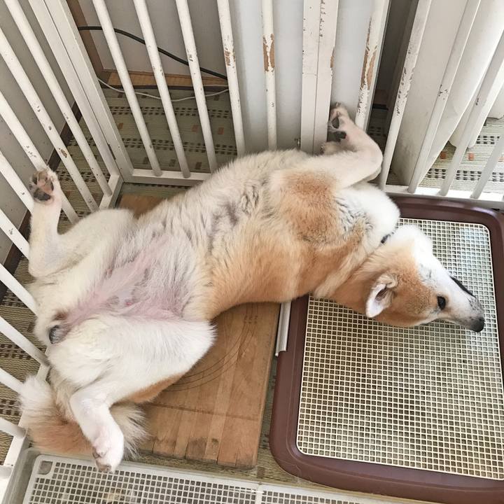 8b253cd4 eefd 48c4 9baa e29409ff3ae6