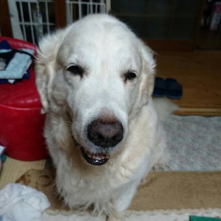 8b26cb07 26ea 433c 9293 f71602a65d85