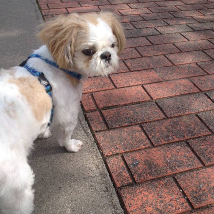 8b271861 0823 4a80 9fc6 d93ce046598c