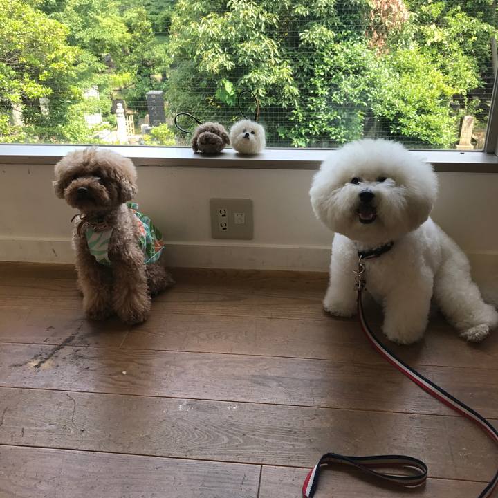 8b27ad0a 0ba6 455c bca2 3735c6183690