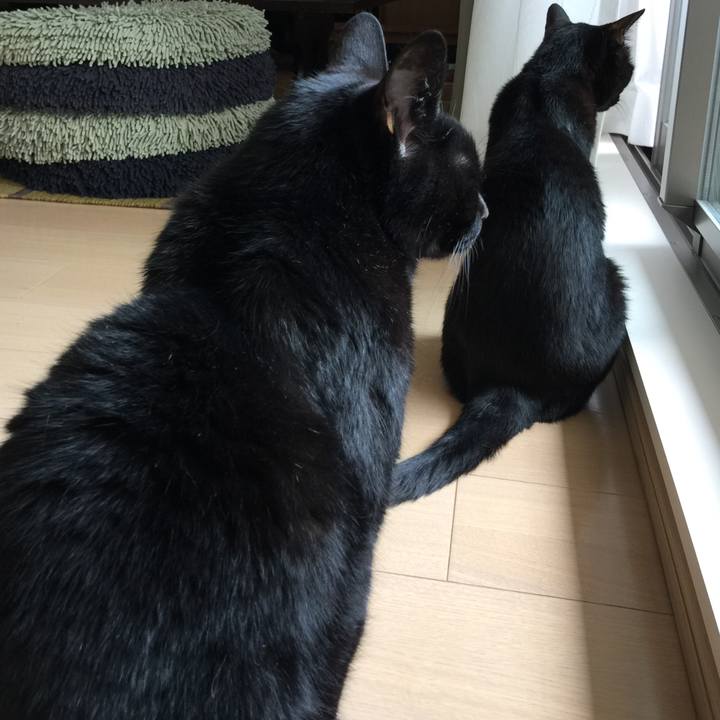 8b289961 c3fa 45d0 b374 3c4dd6e40069