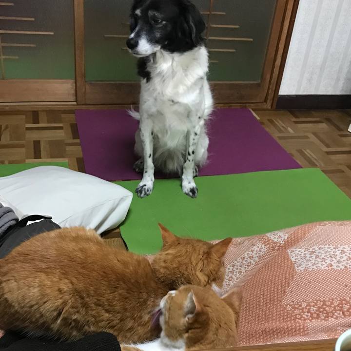 8b28a378 794f 43a6 b2d4 c534a1b54fe8