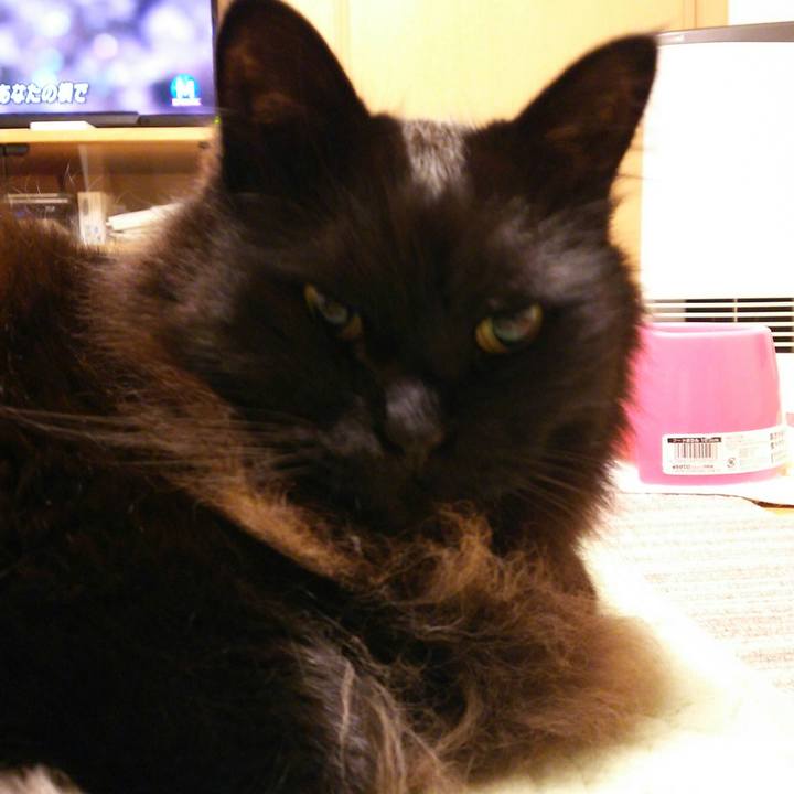 8b28c77d ead7 4f92 9ffb 35334cdfd90a