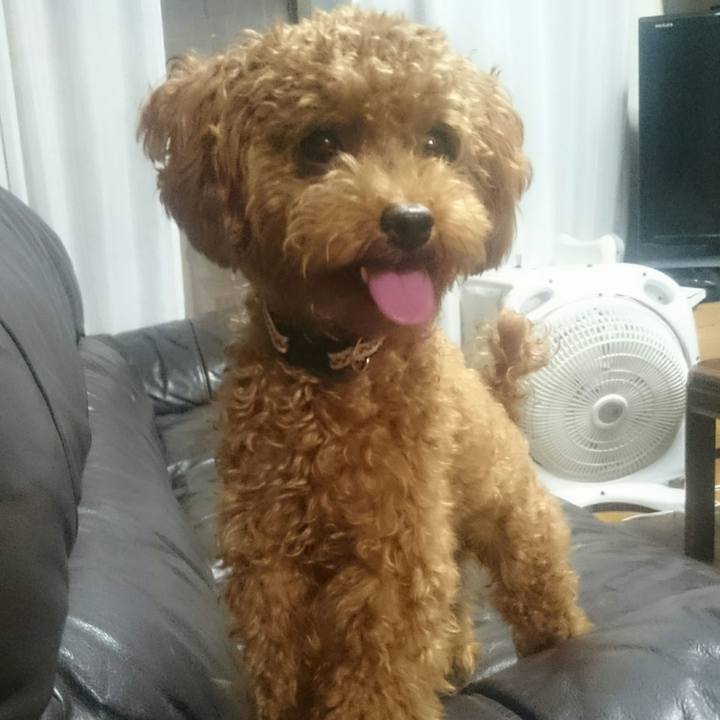 8b28d6c8 5f08 4532 b435 96941cc7ab28