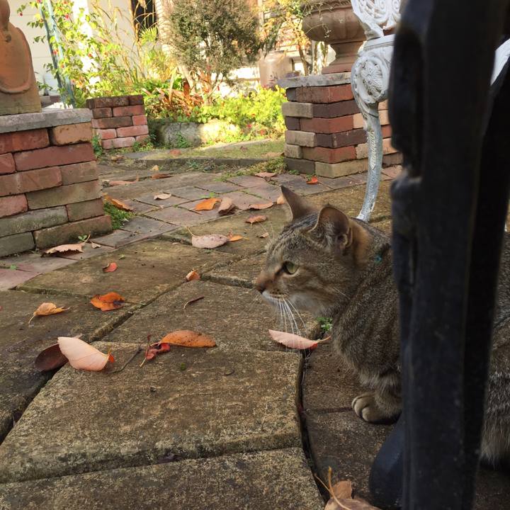 8b29248e 5058 4011 ab71 5ee457f158a9