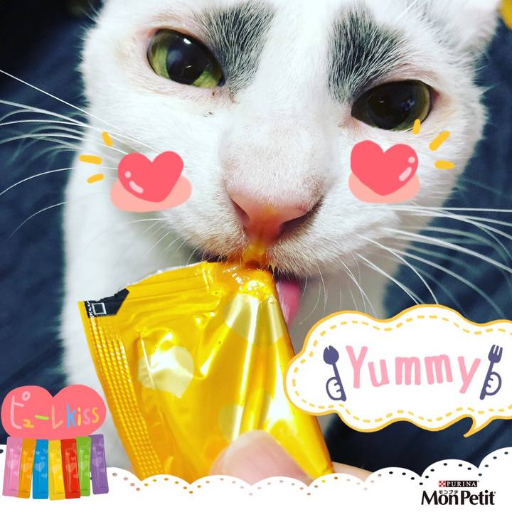 8b29e214 bf69 4b0b b5ad b06867540e5c