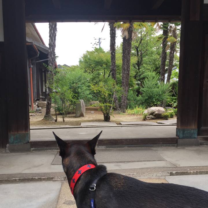 8b2a433b 3a22 4eed a132 d97ea5dab7ae