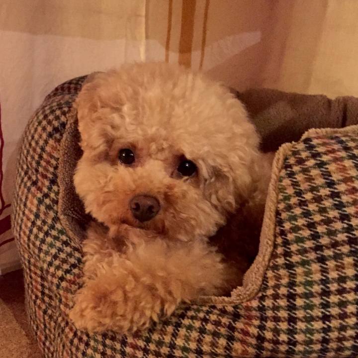 8b2a6ac8 d7a6 45ad 8167 c0d70e5bf08c