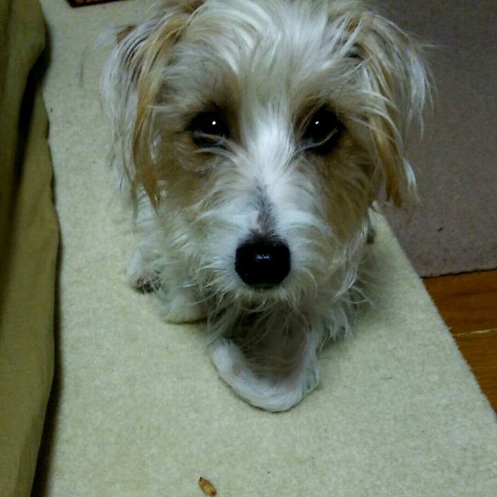 8b2a80b1 fa4a 455f 931d dd5b38fd7062