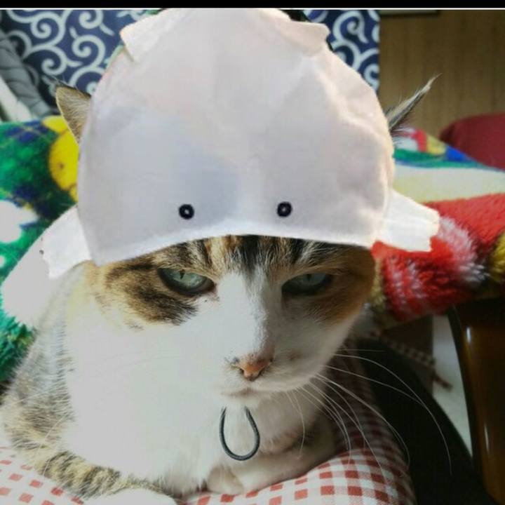 8b2bceb9 32ee 42e4 8359 7dbac3e9c2d6