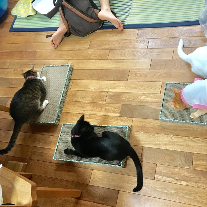 8b2bf1b9 110b 4148 b2a0 50826d5ab97d