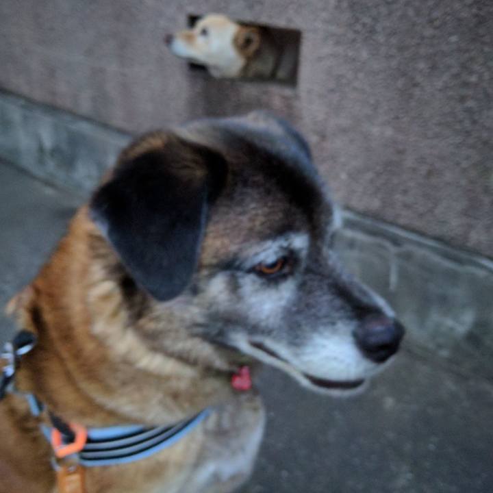 8b2ca764 a7fc 446a 9c74 620afa07411d