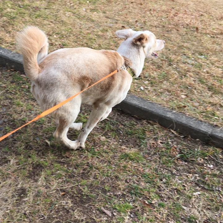 8b2d4d07 a361 4b01 8e07 cba1c6ff922e