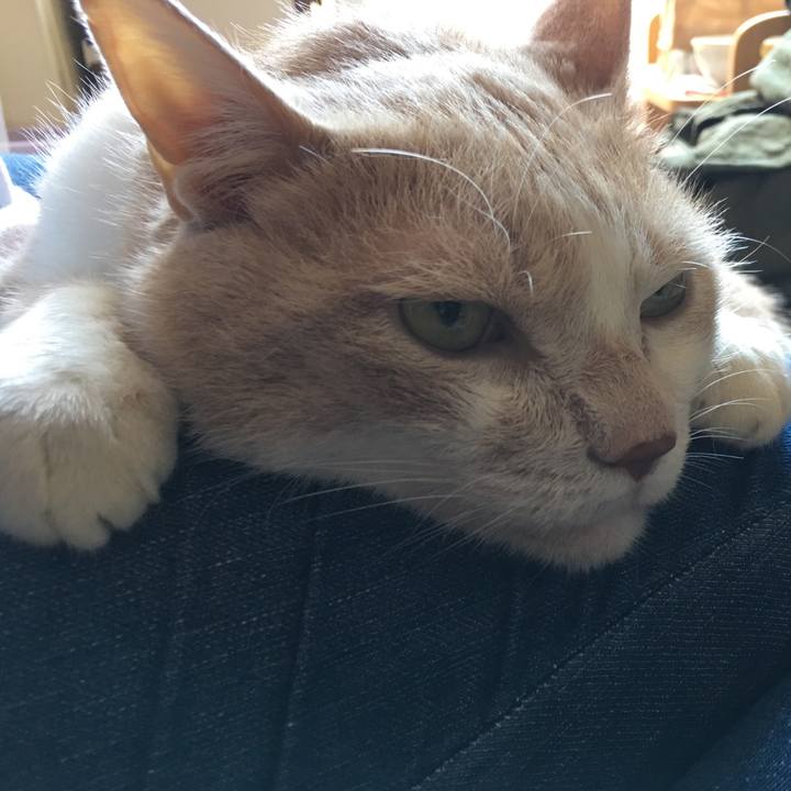 8b2d5d5d f4f4 4a7c a5c6 19b27ccfb244