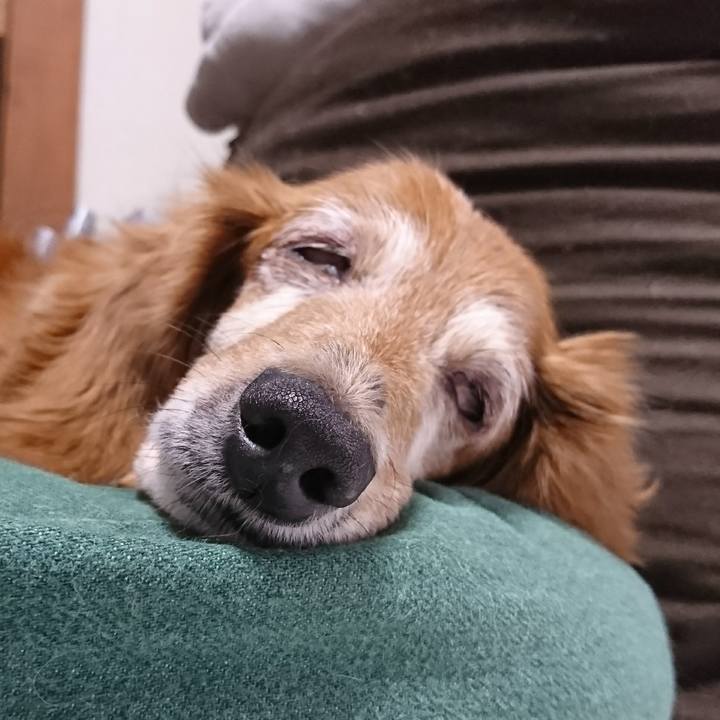 8b2d9a62 6b18 452c 8118 b48d69408f23