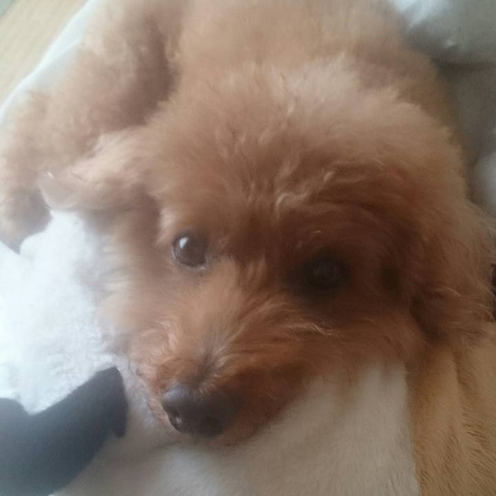 8b2d9e5d c0aa 4a9e 8138 9e03afb50b1b