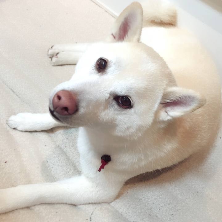 8b2e6060 7c0d 478d 811c 3846c1446631