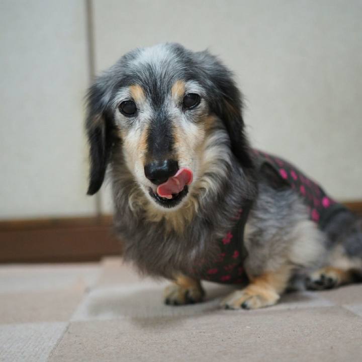 8b2e6b95 ccee 4263 b828 587c5d24487a