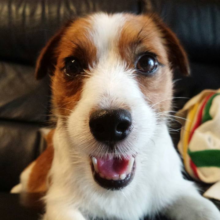 8b2e97c4 90ba 49f7 9d73 00d001dc41b3