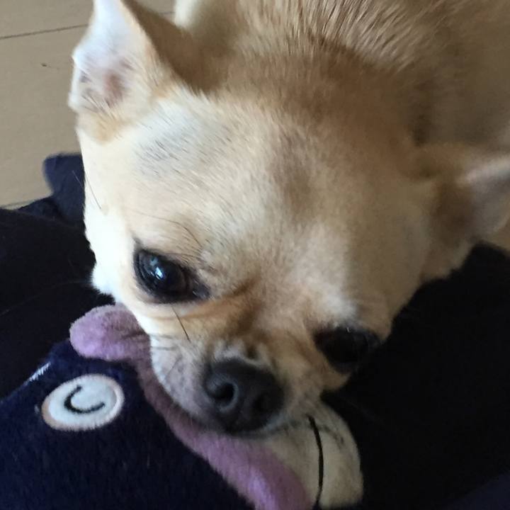 8b2edf59 4dab 409c bd7d d0888002e7c1