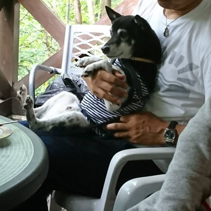 8b2f4246 b0bb 4421 99ff c49846474d41