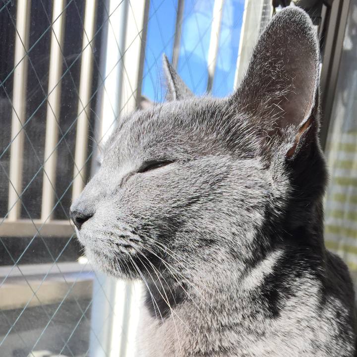 8b309a67 1707 46a1 8812 5793bbf5f0ea