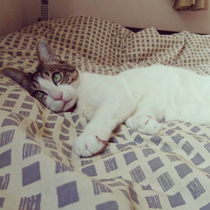 8b30bfb4 7edf 4235 afb2 d9d0bef84ccb