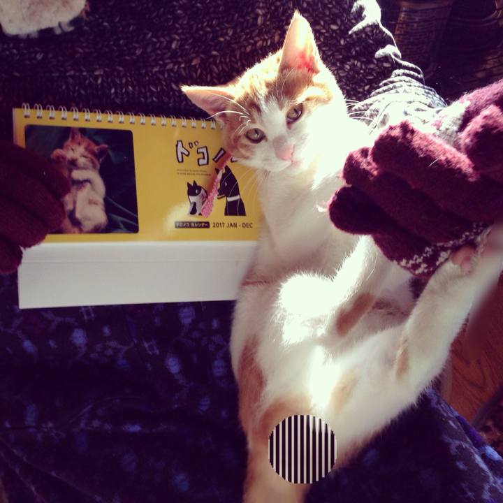 8b312a0f 4115 449f 867b 4d2d1f2cbd89