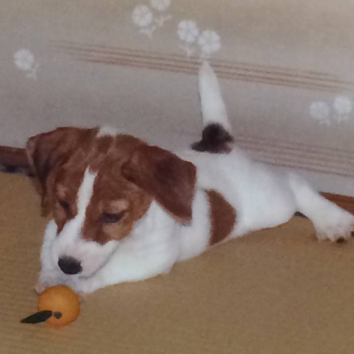 8b313fd5 bd13 4781 a11d 5ac1b26d249f