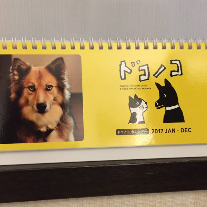 8b317fbe 6218 4f7f a62a 785811fb6cef