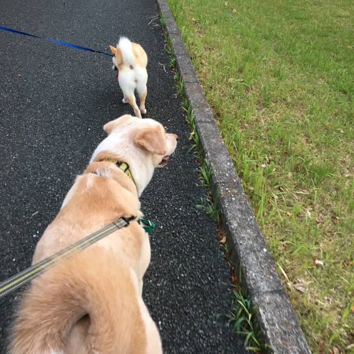 8b318c7e 001d 4ac8 b9c6 e5772c2b8f36