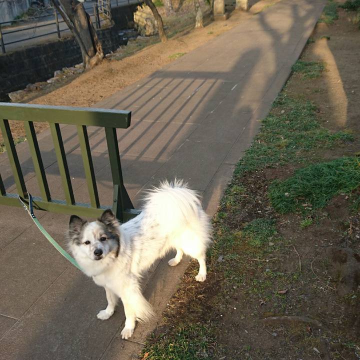 8b32402f 818e 4b78 afc3 b934d8d1e73a