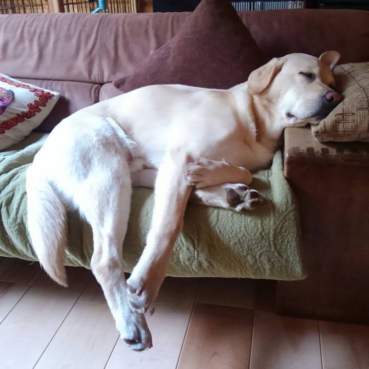 8b327395 d6c3 4283 9394 256b8fbacf9c