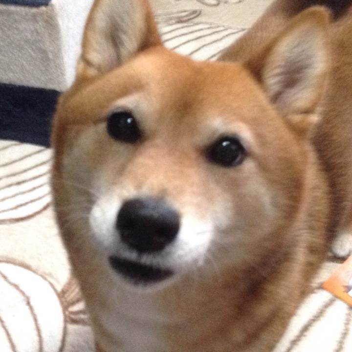 8b33b0ee 0674 4867 b548 63f8948b2377