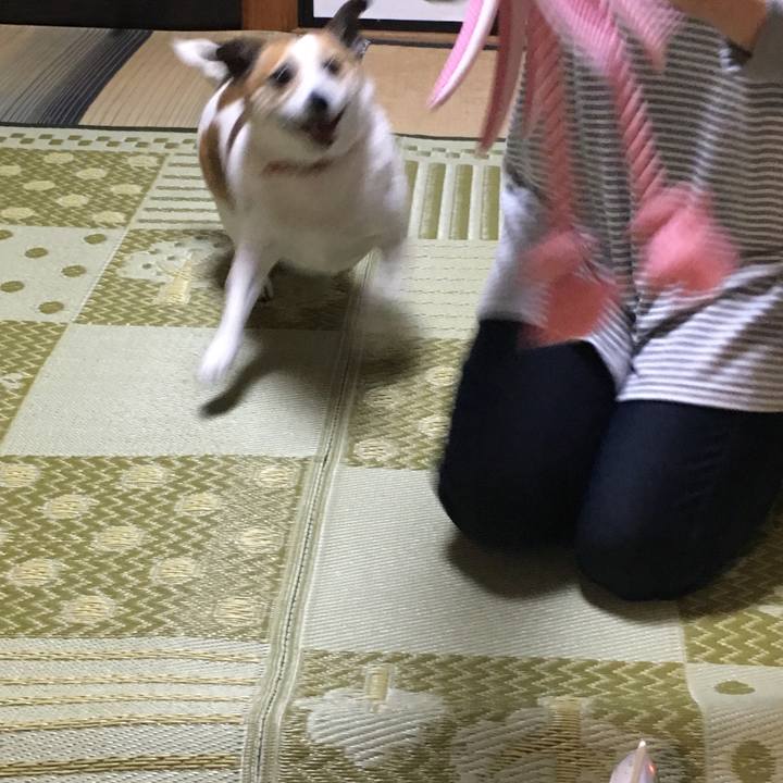 8b33b94d 9cef 4cac bc30 490b43aca532